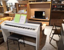 CASIO カシオ 2016年製 Privia PX-760 スリム スタイリッシュ 木目調 ホワイト 鍵盤楽器 楽器 88鍵盤 電子ピアノ