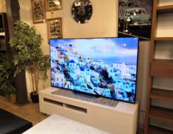 SONY BRAVIA ブラビア 2020年製 KJ-65A9G A9Gシリーズ 4K対応 65インチ 有機EL 液晶テレビ